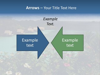 Monarch Butterfly PowerPoint Template
