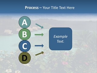 Monarch Butterfly PowerPoint Template