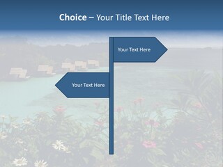 Monarch Butterfly PowerPoint Template