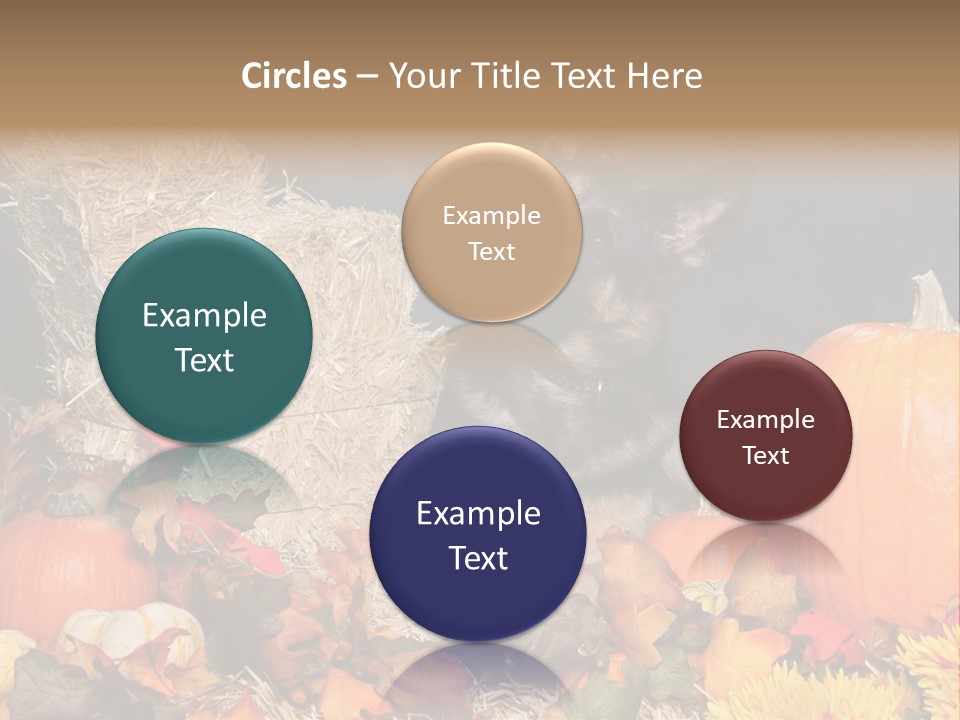 German Shepard Dog In Autumn Setting PowerPoint Template