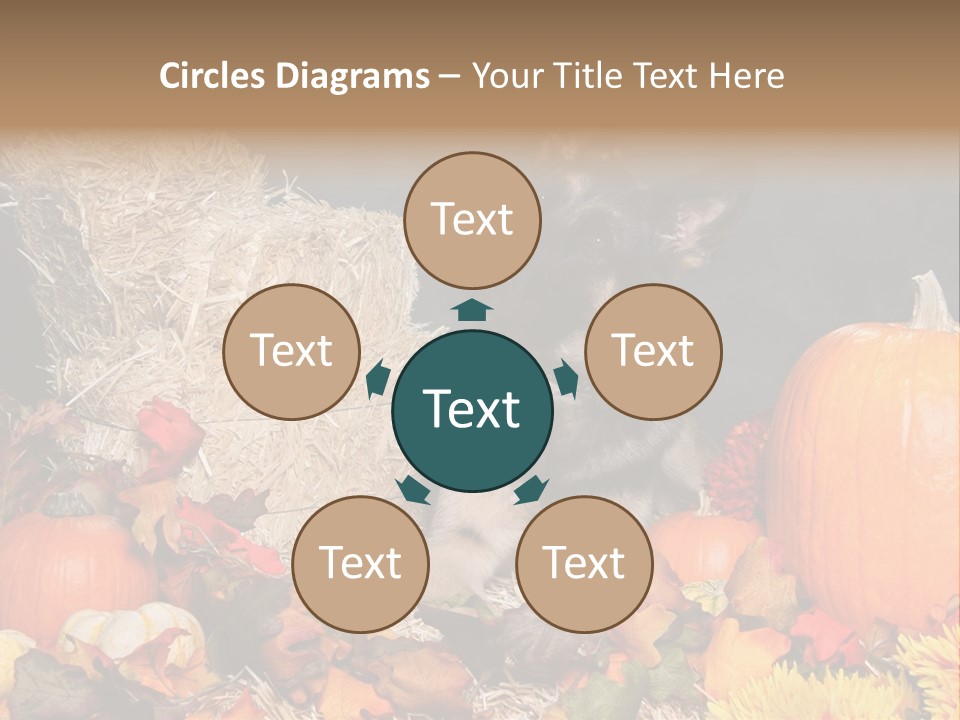 German Shepard Dog In Autumn Setting PowerPoint Template