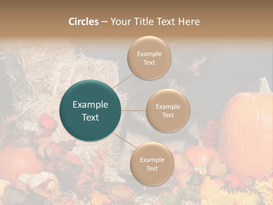 German Shepard Dog In Autumn Setting PowerPoint Template