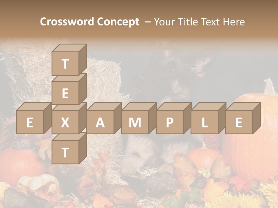 German Shepard Dog In Autumn Setting PowerPoint Template