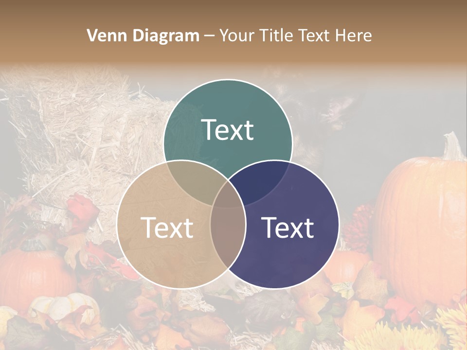 German Shepard Dog In Autumn Setting PowerPoint Template