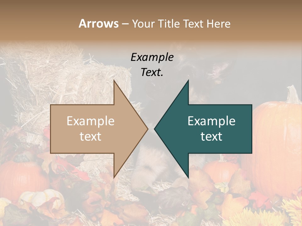 German Shepard Dog In Autumn Setting PowerPoint Template