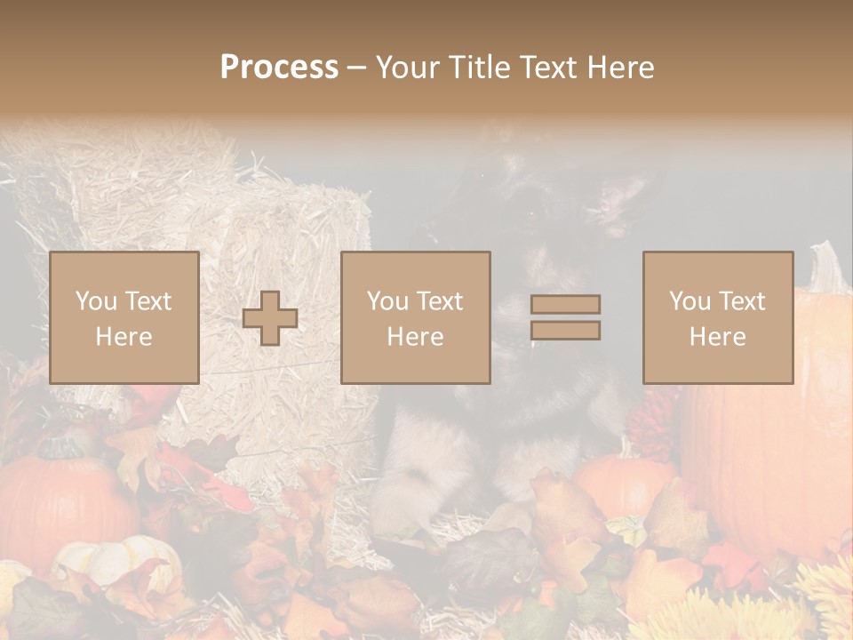 German Shepard Dog In Autumn Setting PowerPoint Template