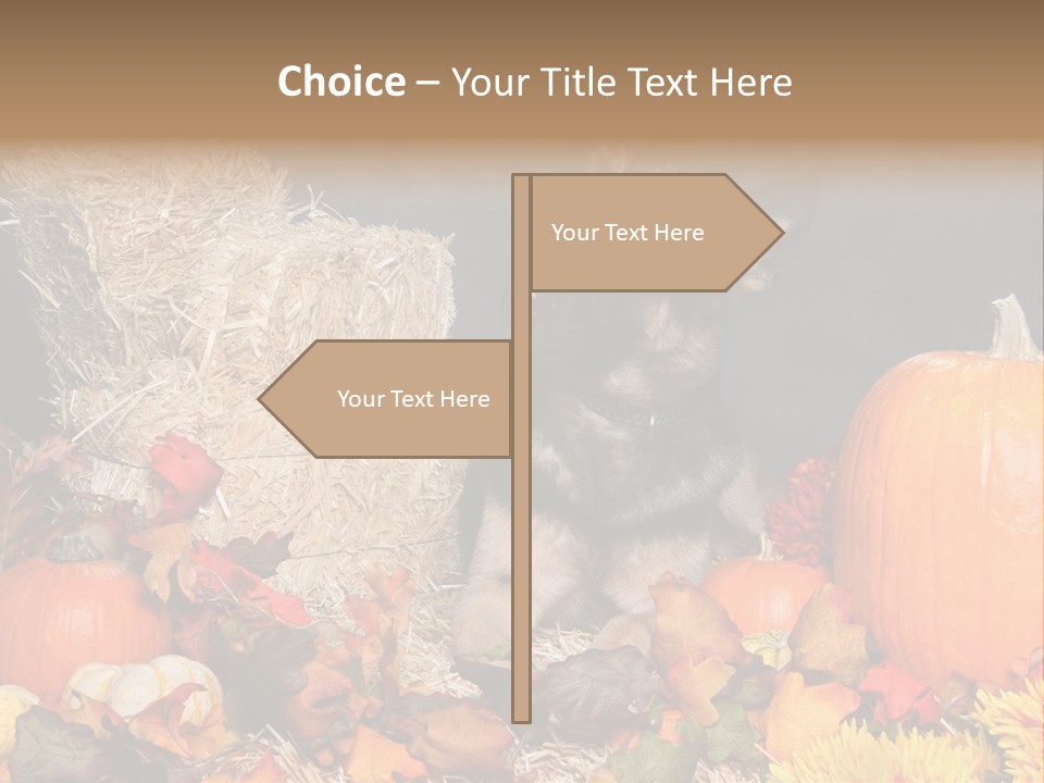 German Shepard Dog In Autumn Setting PowerPoint Template