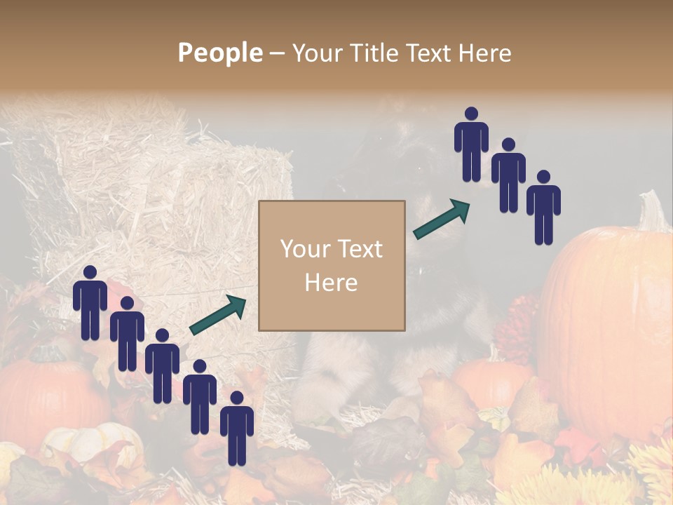 German Shepard Dog In Autumn Setting PowerPoint Template