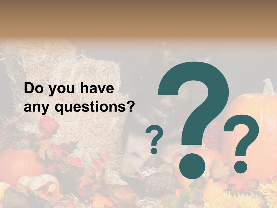 German Shepard Dog In Autumn Setting PowerPoint Template