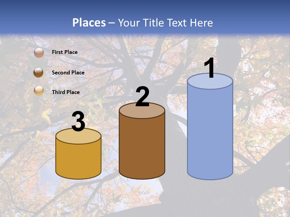 Looking Up Autumn Leaves, London England Uk PowerPoint Template