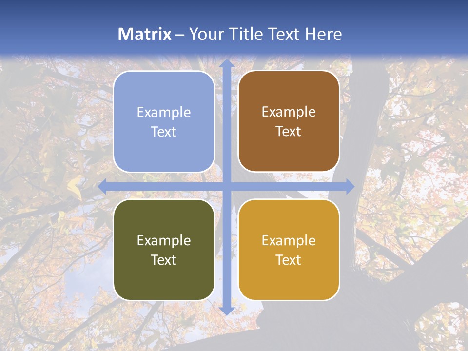 Looking Up Autumn Leaves, London England Uk PowerPoint Template