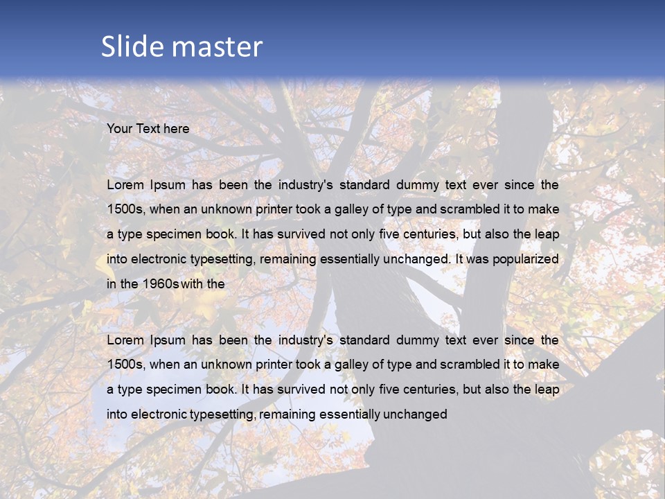 Looking Up Autumn Leaves, London England Uk PowerPoint Template