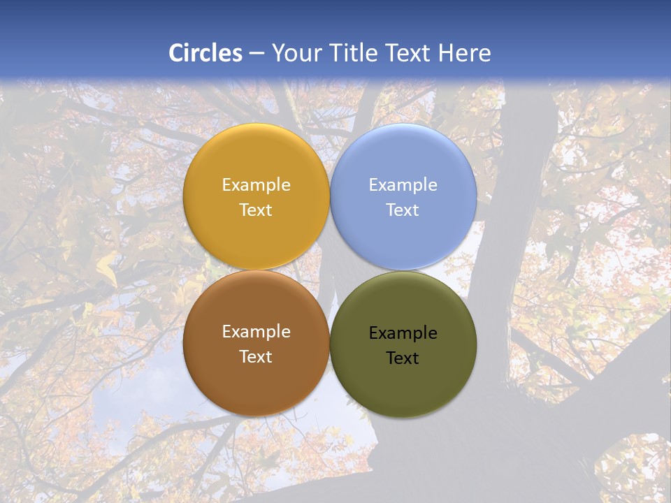 Looking Up Autumn Leaves, London England Uk PowerPoint Template