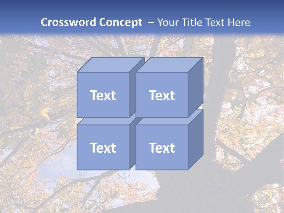 Looking Up Autumn Leaves, London England Uk PowerPoint Template