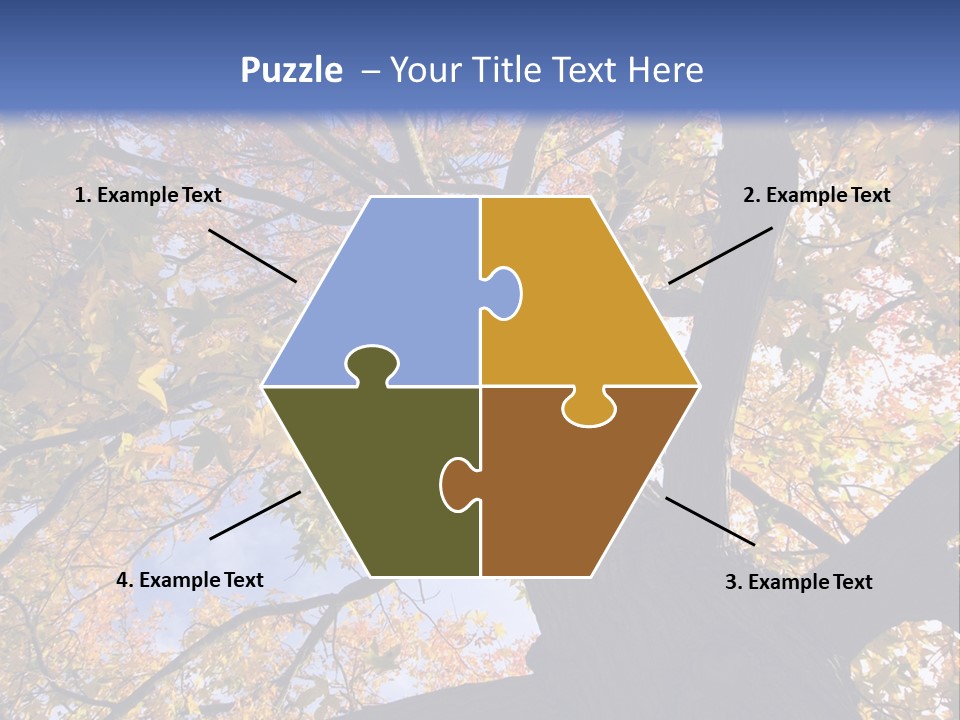 Looking Up Autumn Leaves, London England Uk PowerPoint Template