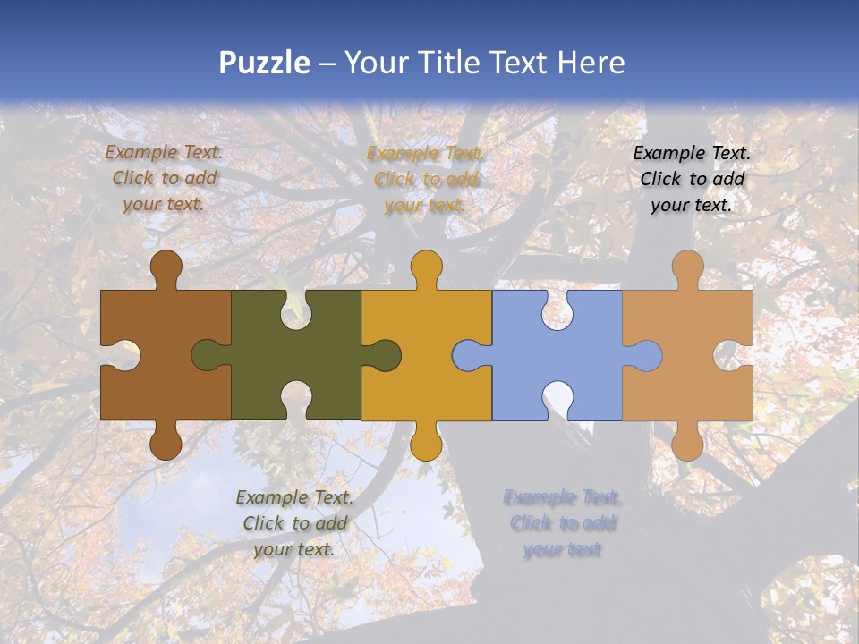 Looking Up Autumn Leaves, London England Uk PowerPoint Template