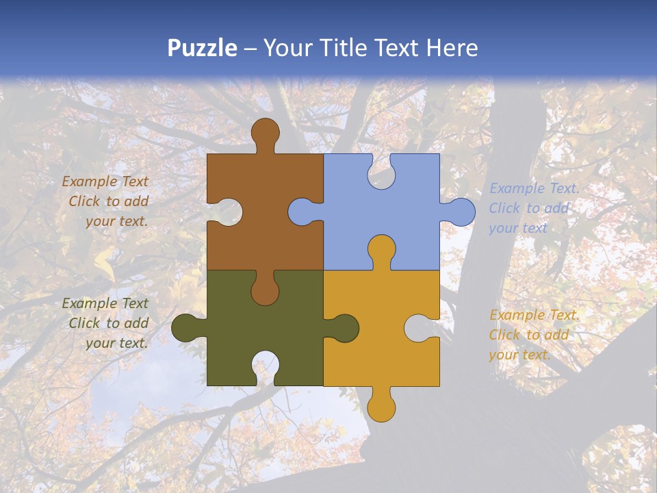 Looking Up Autumn Leaves, London England Uk PowerPoint Template