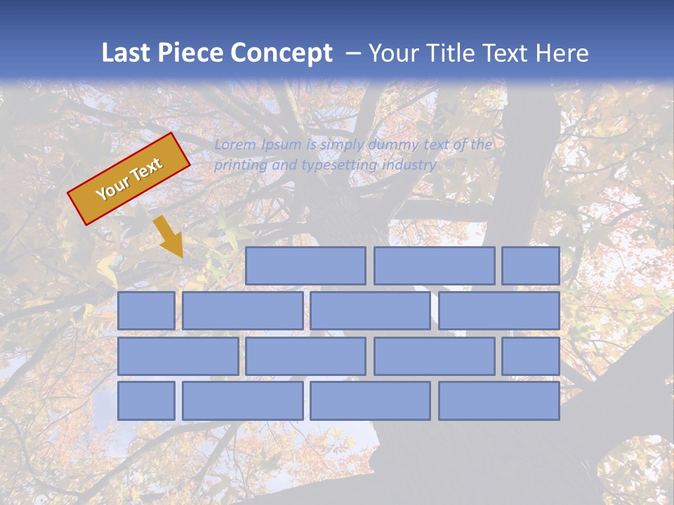 Looking Up Autumn Leaves, London England Uk PowerPoint Template