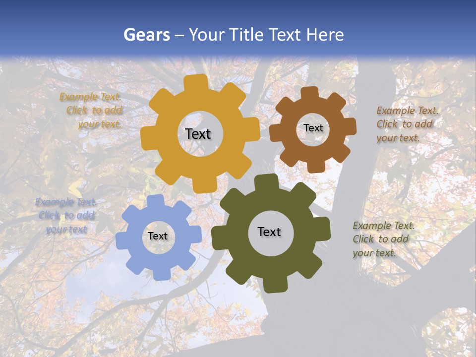 Looking Up Autumn Leaves, London England Uk PowerPoint Template