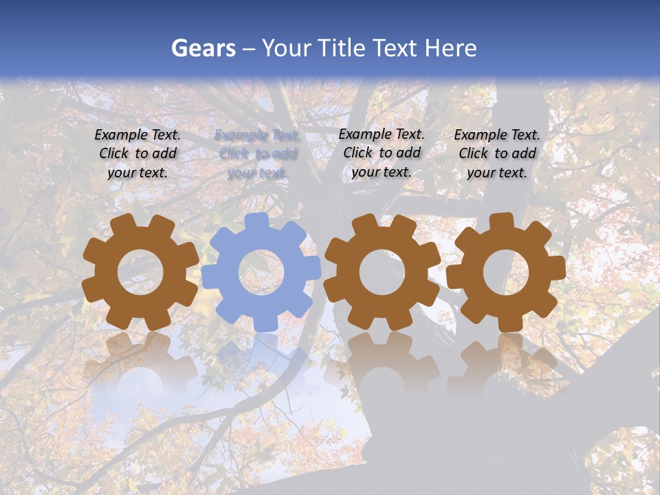 Looking Up Autumn Leaves, London England Uk PowerPoint Template