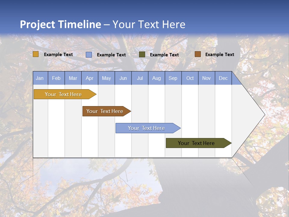 Looking Up Autumn Leaves, London England Uk PowerPoint Template