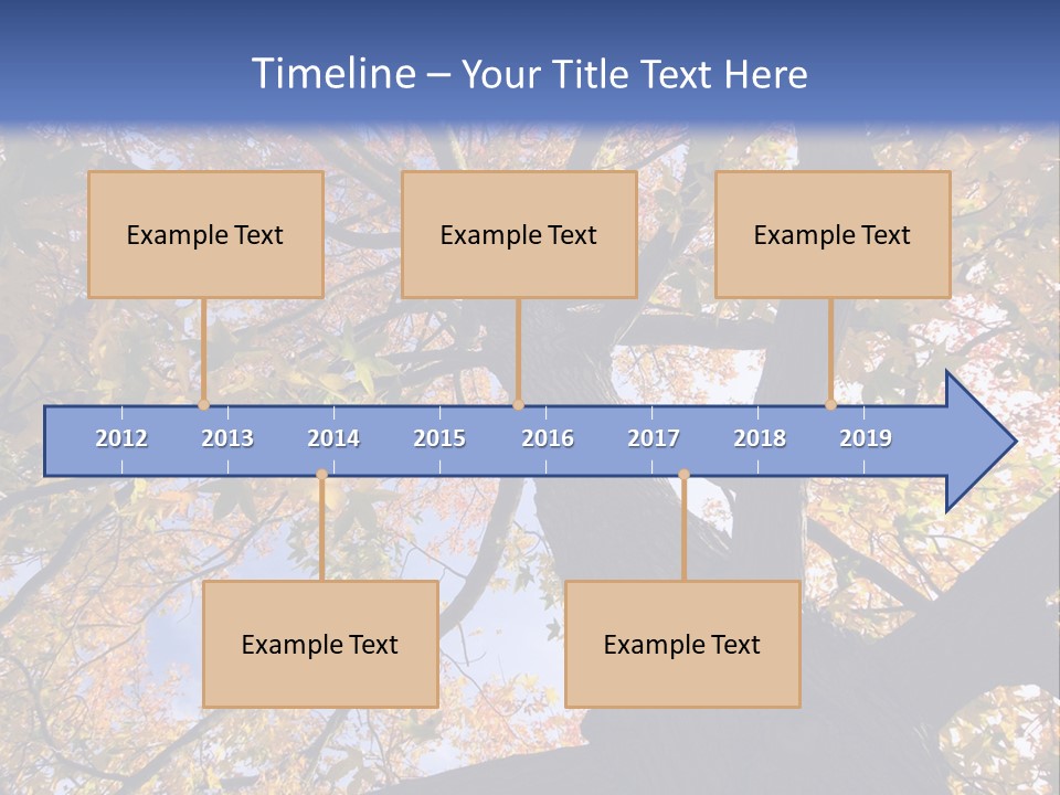 Looking Up Autumn Leaves, London England Uk PowerPoint Template