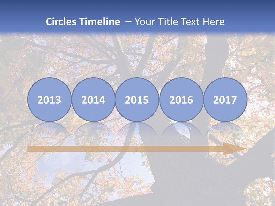 Looking Up Autumn Leaves, London England Uk PowerPoint Template