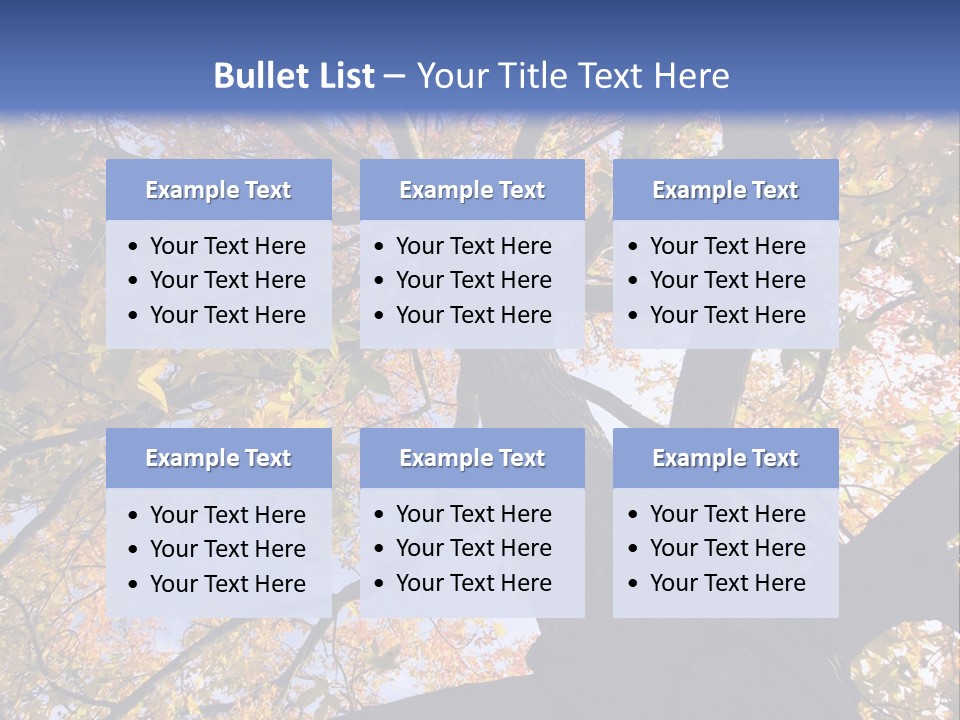 Looking Up Autumn Leaves, London England Uk PowerPoint Template