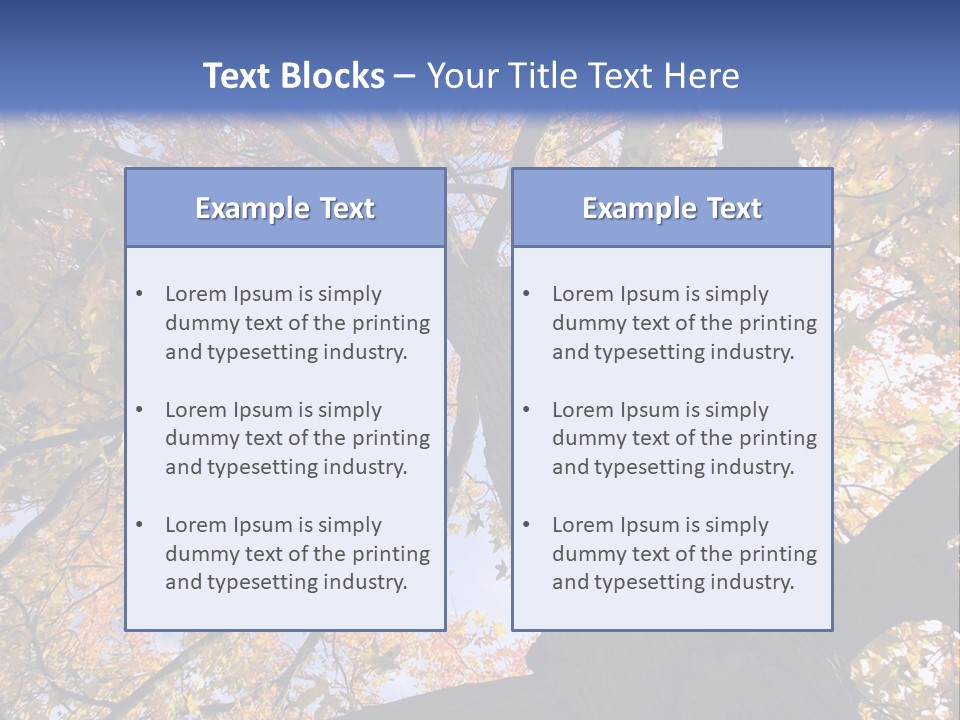 Looking Up Autumn Leaves, London England Uk PowerPoint Template