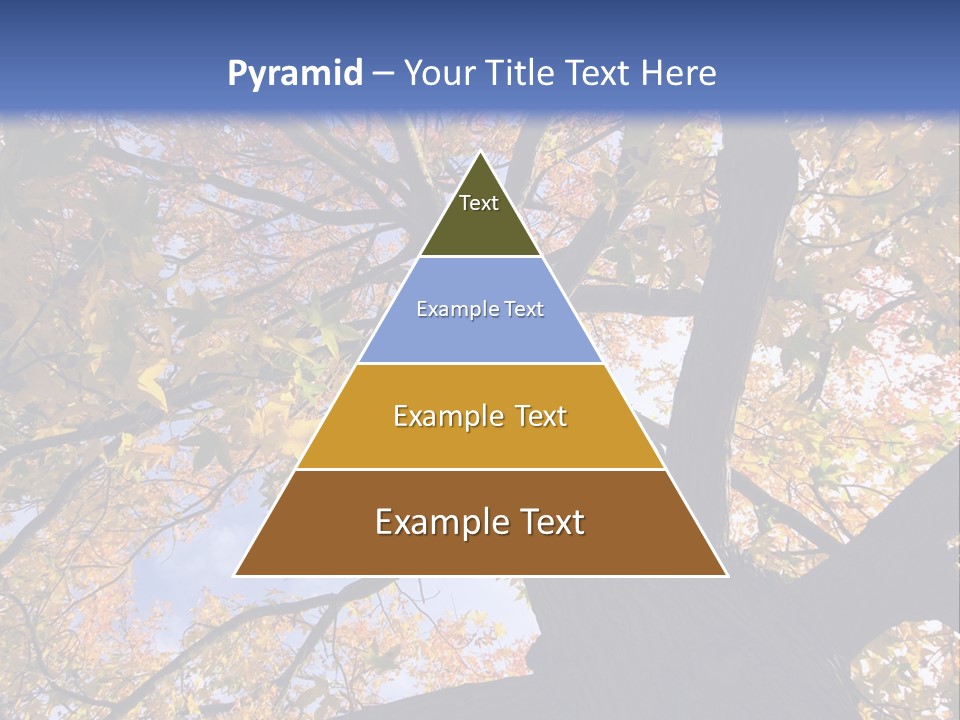 Looking Up Autumn Leaves, London England Uk PowerPoint Template