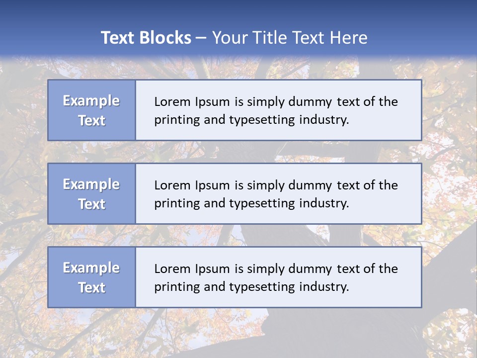 Looking Up Autumn Leaves, London England Uk PowerPoint Template