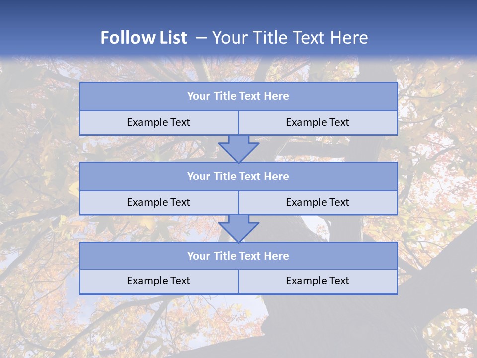 Looking Up Autumn Leaves, London England Uk PowerPoint Template