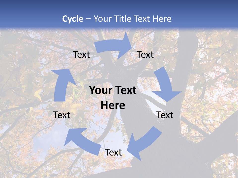 Looking Up Autumn Leaves, London England Uk PowerPoint Template