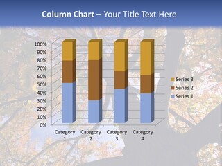 Looking Up Autumn Leaves, London England Uk PowerPoint Template