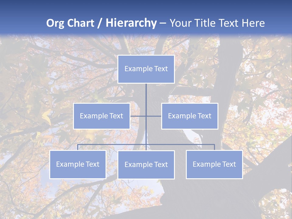 Looking Up Autumn Leaves, London England Uk PowerPoint Template