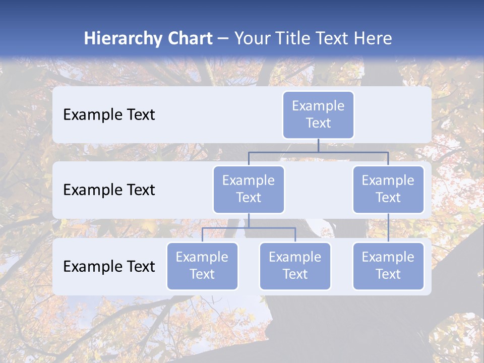 Looking Up Autumn Leaves, London England Uk PowerPoint Template