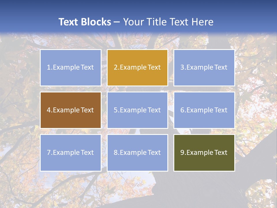 Looking Up Autumn Leaves, London England Uk PowerPoint Template