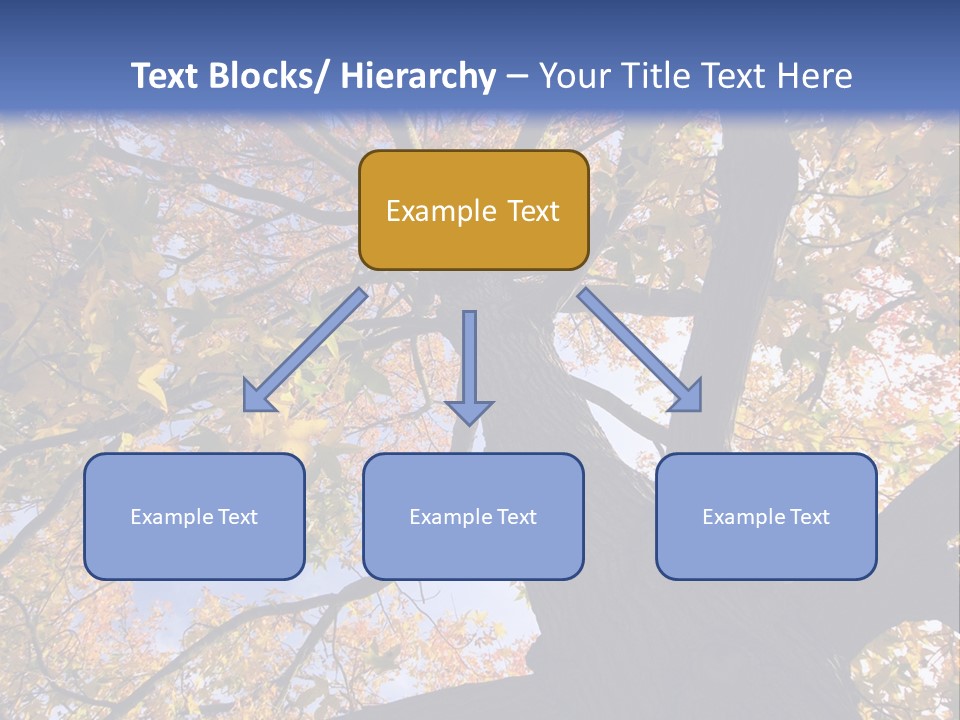 Looking Up Autumn Leaves, London England Uk PowerPoint Template