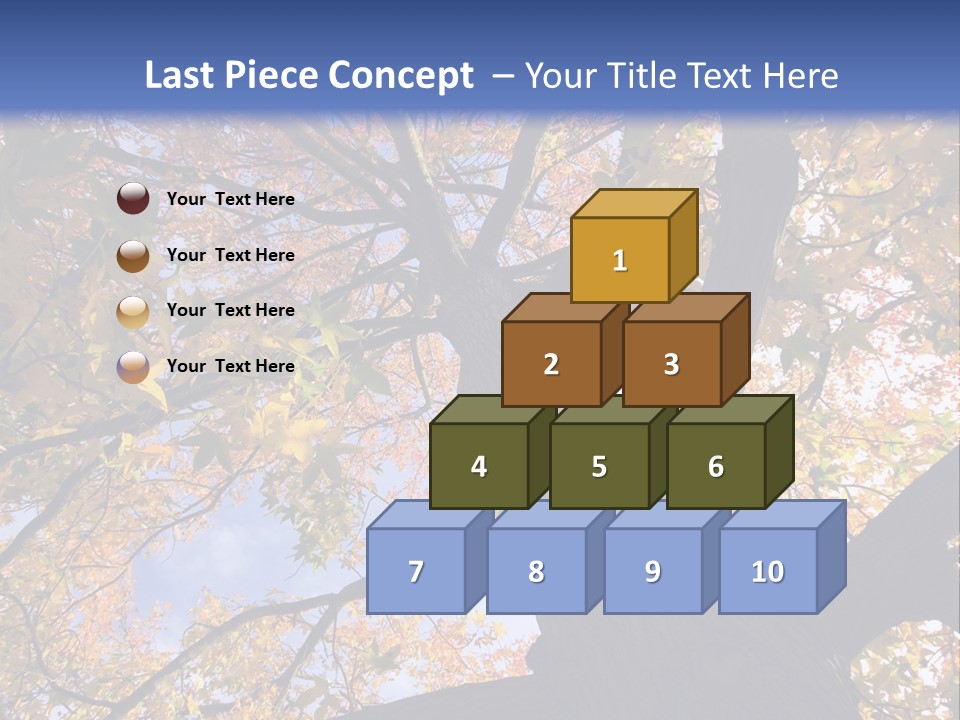 Looking Up Autumn Leaves, London England Uk PowerPoint Template