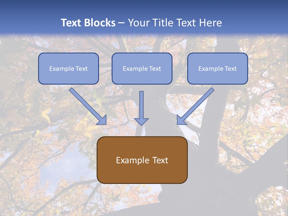 Looking Up Autumn Leaves, London England Uk PowerPoint Template