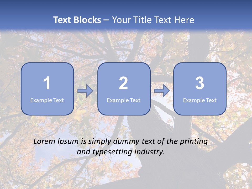 Looking Up Autumn Leaves, London England Uk PowerPoint Template