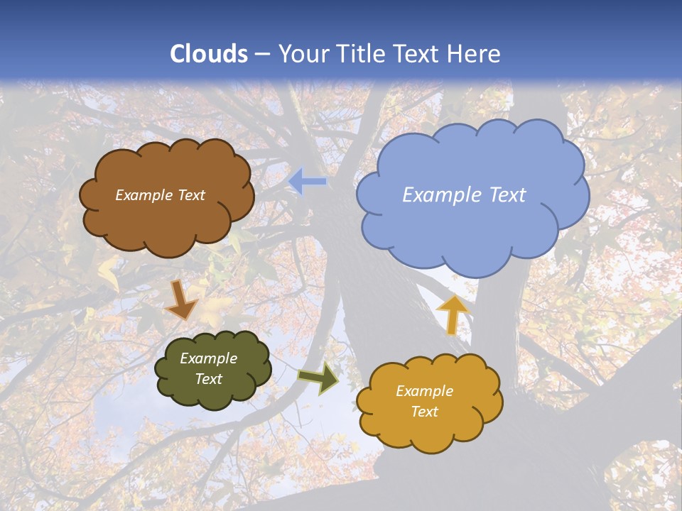 Looking Up Autumn Leaves, London England Uk PowerPoint Template