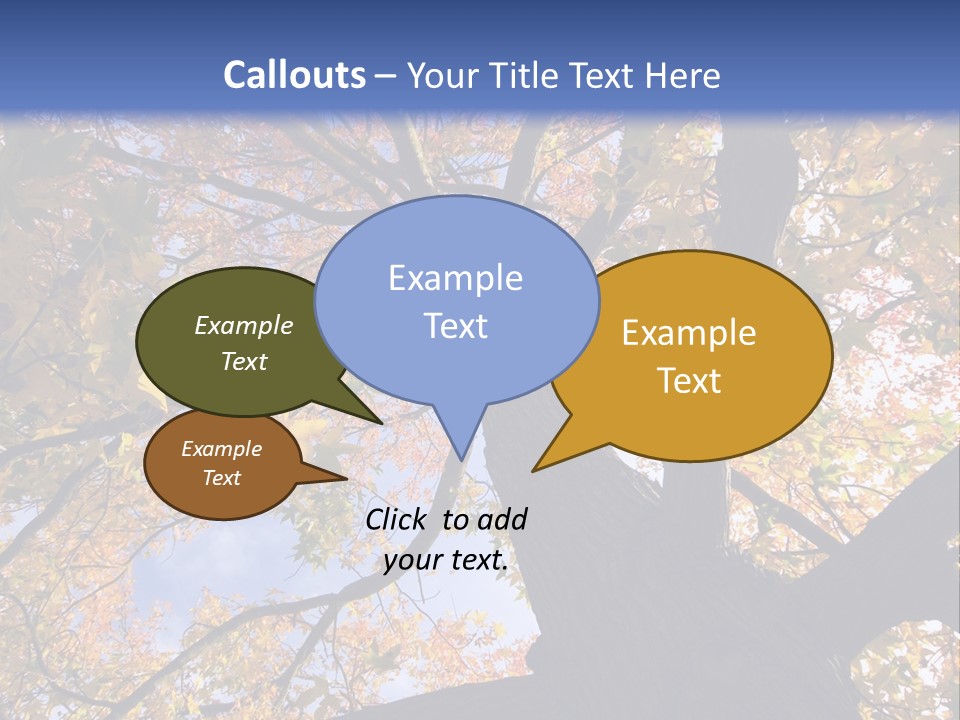 Looking Up Autumn Leaves, London England Uk PowerPoint Template