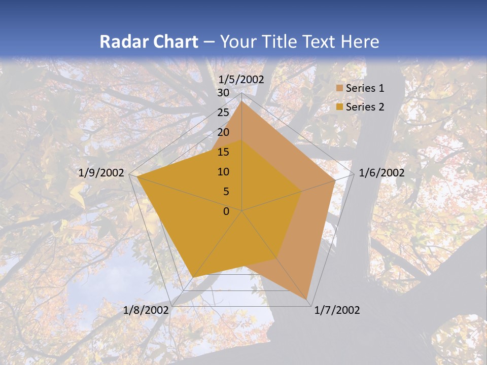 Looking Up Autumn Leaves, London England Uk PowerPoint Template