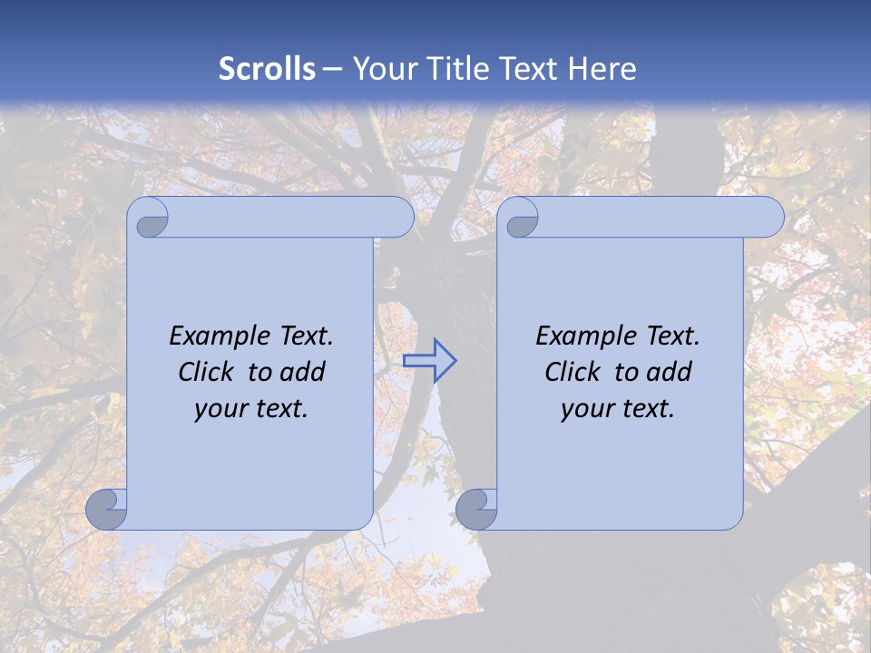 Looking Up Autumn Leaves, London England Uk PowerPoint Template