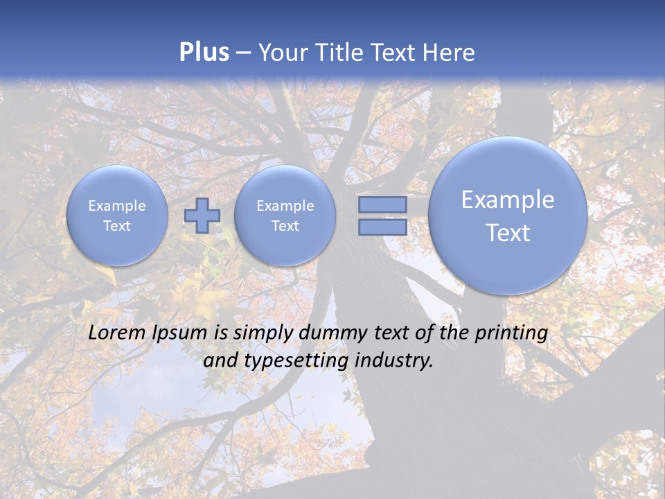 Looking Up Autumn Leaves, London England Uk PowerPoint Template