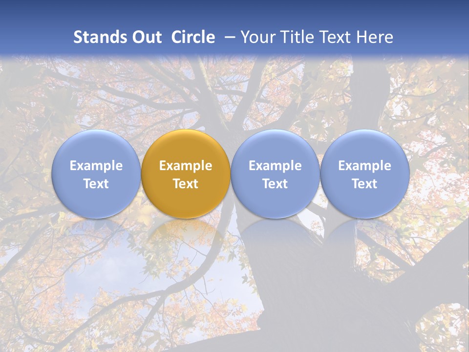 Looking Up Autumn Leaves, London England Uk PowerPoint Template