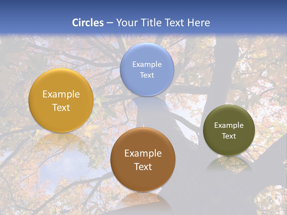 Looking Up Autumn Leaves, London England Uk PowerPoint Template