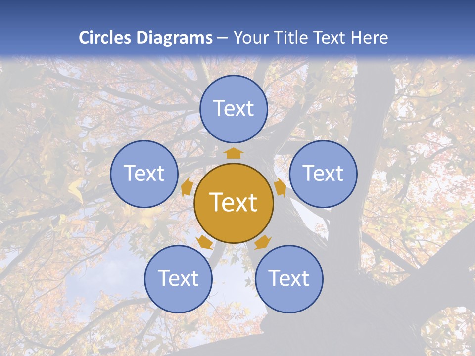 Looking Up Autumn Leaves, London England Uk PowerPoint Template