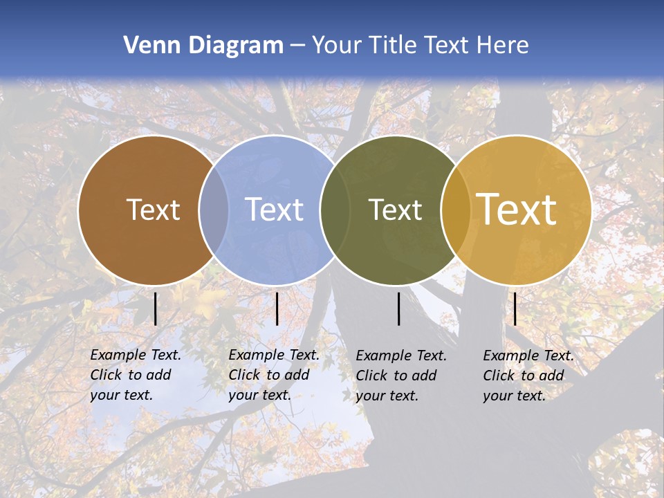 Looking Up Autumn Leaves, London England Uk PowerPoint Template